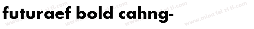 futuraef bold cahng字体转换